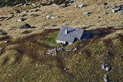 Anello dei MONTI ARETE (2227 m) e VALEGINO (2415 m da Cambrembo di Valleve il 15 novembre 2015  - FOTOGALLERY